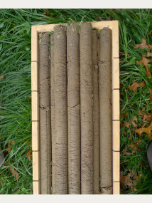 Figure 1A. Soil cores from a Recent Soil in the Wairarapa.