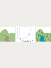 Figure 1. In the Wairua River, Northland, a 70% reduction in sediment load due to tree planting would lead to an increase of the median visual clarity of river water by over 1 m.