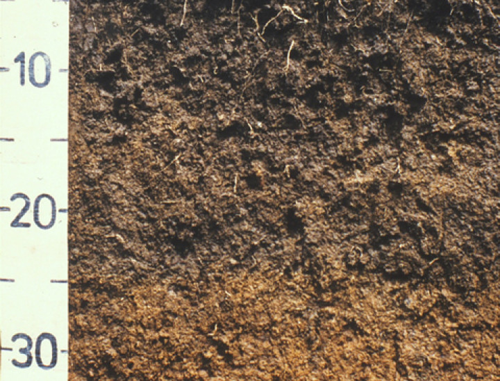 Granular soil, Pahiatua Saddle.