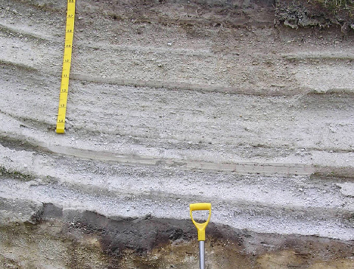 Pumice soil with buried soil, Rotorua.