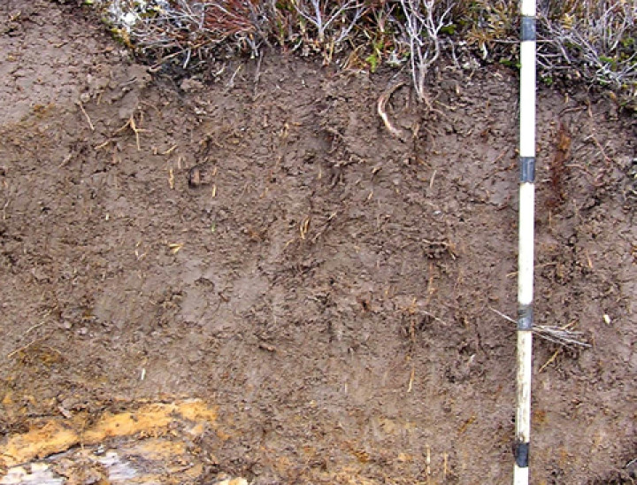 Raw soil, Denniston Plateau.