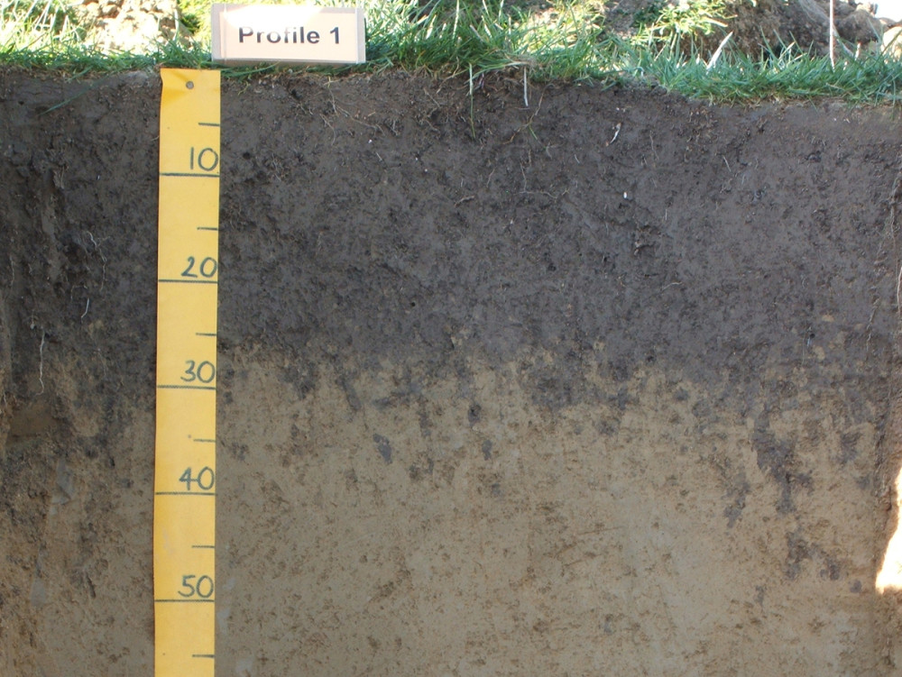 Soil profile. Image: Sam Carrick