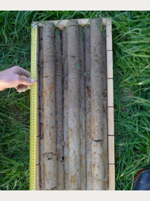 Figure 1B. Soil cores from a Pallic Soil in the Wairarapa. 
