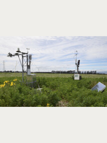 Figure 1. Instrumentation for measuring carbon and water exchange and weather variables.