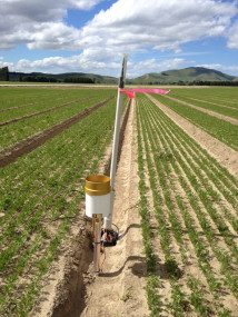Figure 1. Wireless sensor networks installed onto irrigated farms are monitoring soil moisture and rainfall and sending this to end user apps and web browsers in near real-time. Image – Carolyn Hedley.