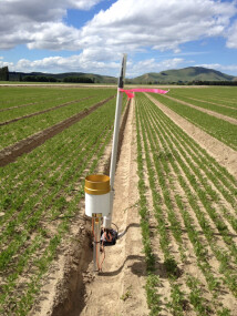 Figure 1. Wireless sensor networks installed onto irrigated farms are monitoring soil moisture and rainfall and sending this to end user apps and web browsers in near real-time. Image – Carolyn Hedley.