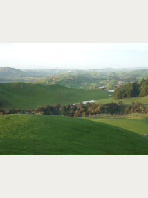 Figure 2. Example of steepland pastoral hill country in the Wairarapa region. Soils have developed on erodible Tertiary siltstones and loessial parent materials.