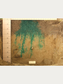 Figure 3. Preferential flow pathways that rapidly transport water down the profile often occur in soils. Image - Sam Carrick.