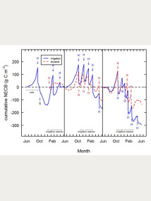 Figure 4. Cumulative carbon balance for irrigated and dryland lucerne over two years (L: 2015/16; R: 2016/17). S = sowing of lucerne. H = times of harvests, highlighting the steep reductions in carbon balance associated with removal of biomass.