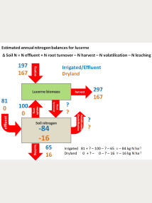 Figure 5. Estimated annual nitrogen balances for lucerne.