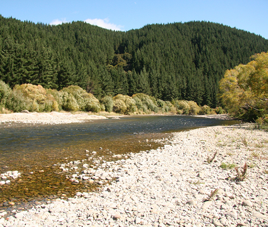 Increasing water quality rivers 540