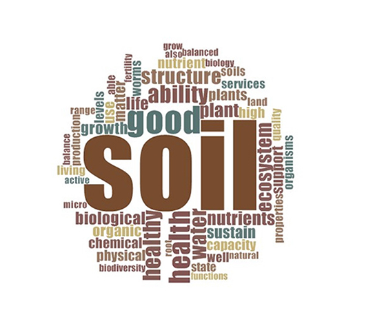 Soil health and resilience word cloud.