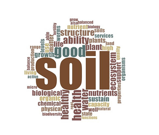 Soil health and resilience word cloud.