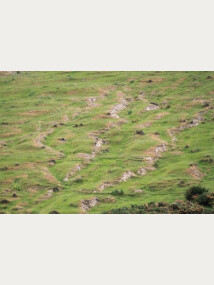 Figure 5: Tunnel gully erosion in loess dominated soils.