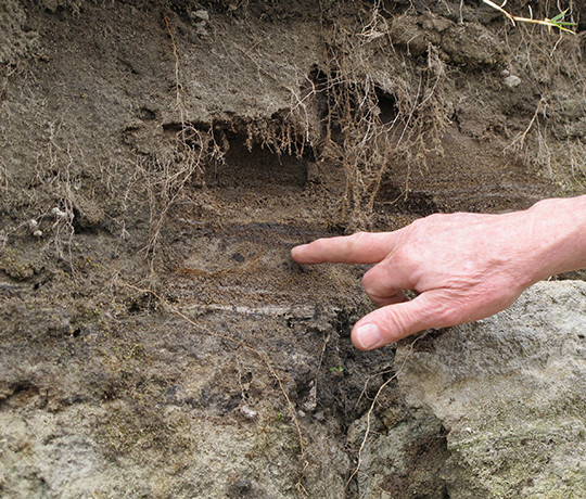 Soil classification thumb