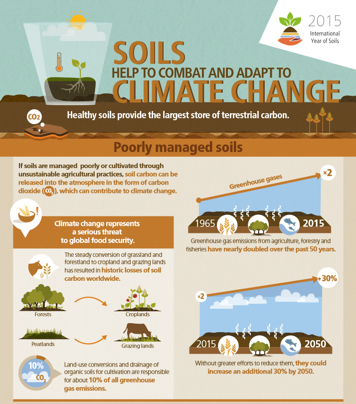 FAO infographic: Soil helps to combat and adapt to climate change
