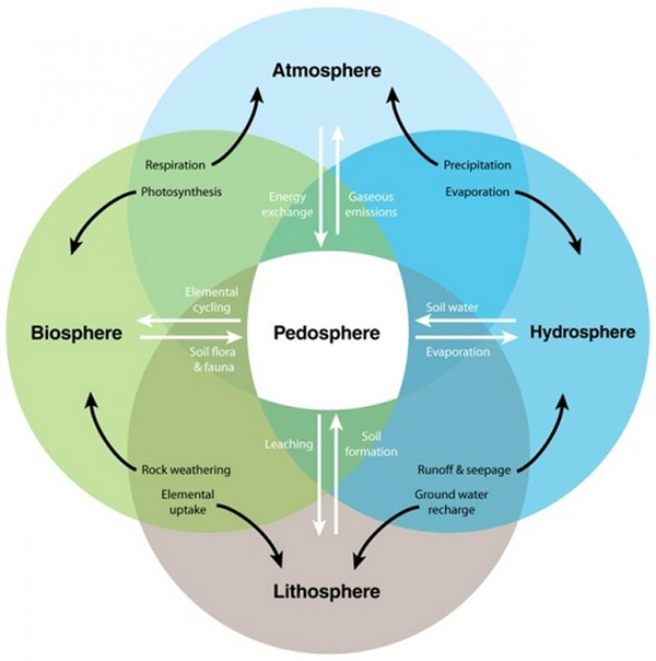 Soils (pedosphere) are at the intersection of air (atmosphere), living organisms (biosphere), water (hydrosphere), and geology (lithosphere). Source: nature.com