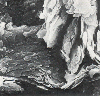 A scanning electron microscope (SEM) image of mica, a primary mineral. It forms into secondary illite during weathering. Copyright: Manaaki Whenua – Landcare Research.