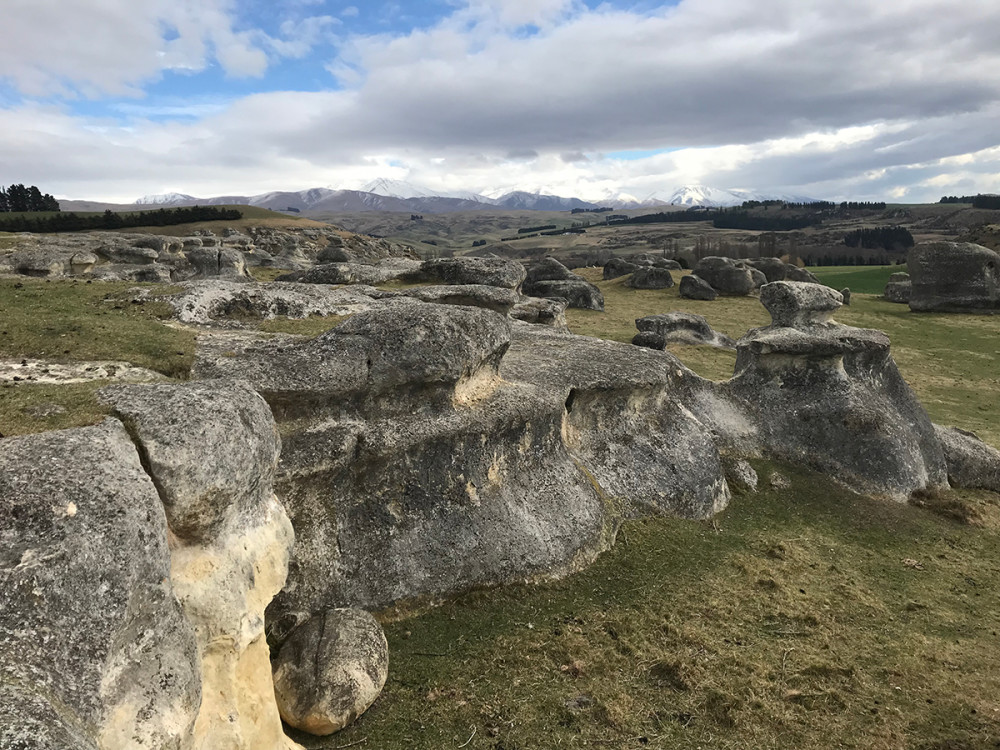 factors-affecting-soil-formation-new-zealand-soils-portal-manaaki