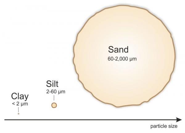 The relative sizes of sand, silt and clay particles. Think of sand as the size of a basketball, silt a ping pong ball, and clay a grain of table salt. 2,000 µm = 2 mm. Source: Anne Wecking.