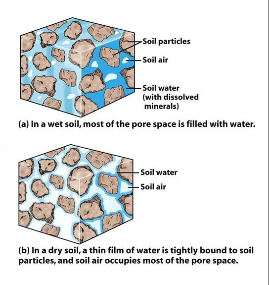 The distribution of mineral particles, water and air in a wet soil (a), and a dry soil (b). Source: https://slideplayer.com/slide/4146015.