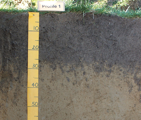 Soil profile product of soil formation thumb