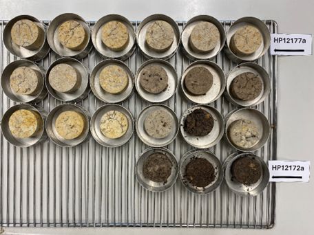 soil cores