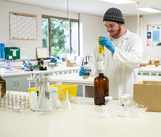 Soil sample being re-hydrated. Image: Bradley White